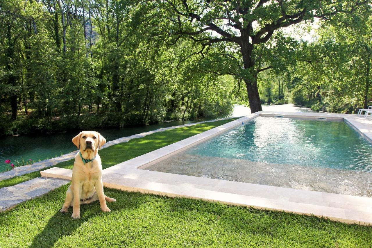 Sauve La Magnanerie D'Hotes ,Le Jardin Secret מראה חיצוני תמונה