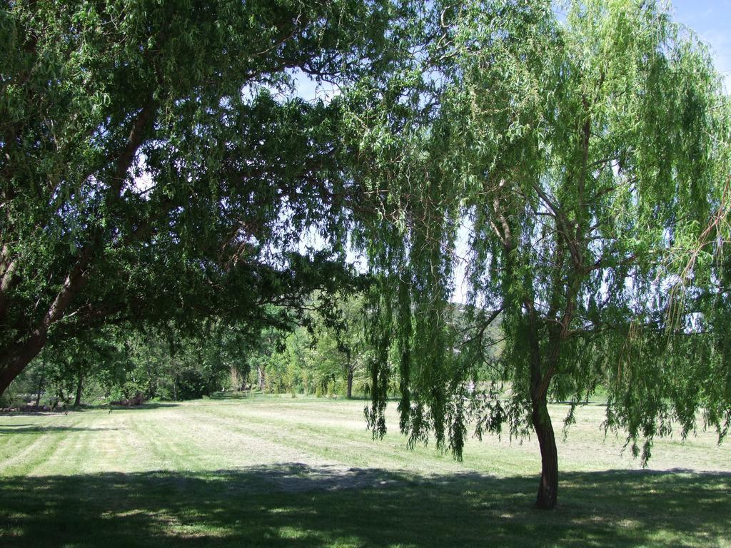 Sauve La Magnanerie D'Hotes ,Le Jardin Secret מראה חיצוני תמונה